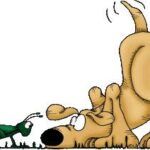 1063_cid_00b501c7de7ecf800e300401010a@parecisd7faf25