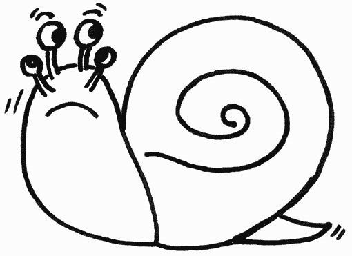 caracol pintar