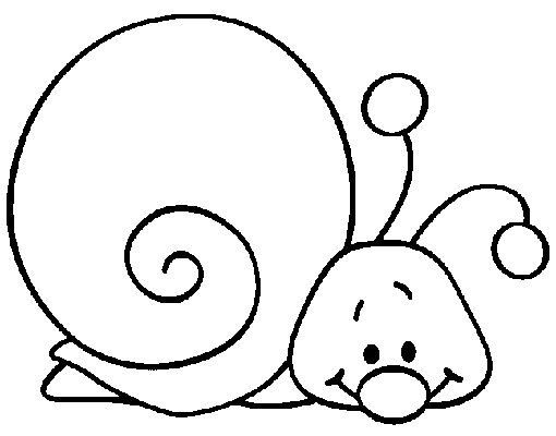 caracol