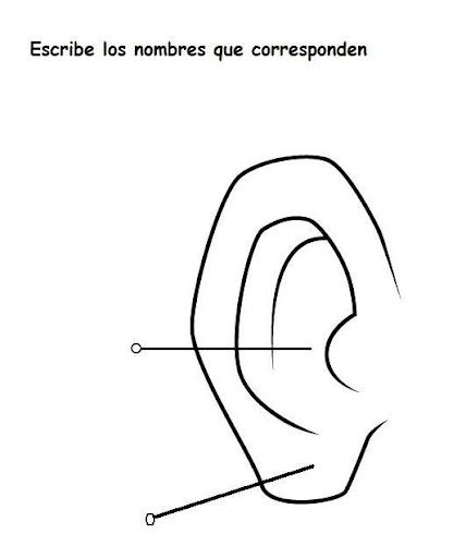 oreja%2520%25282%2529.jpg